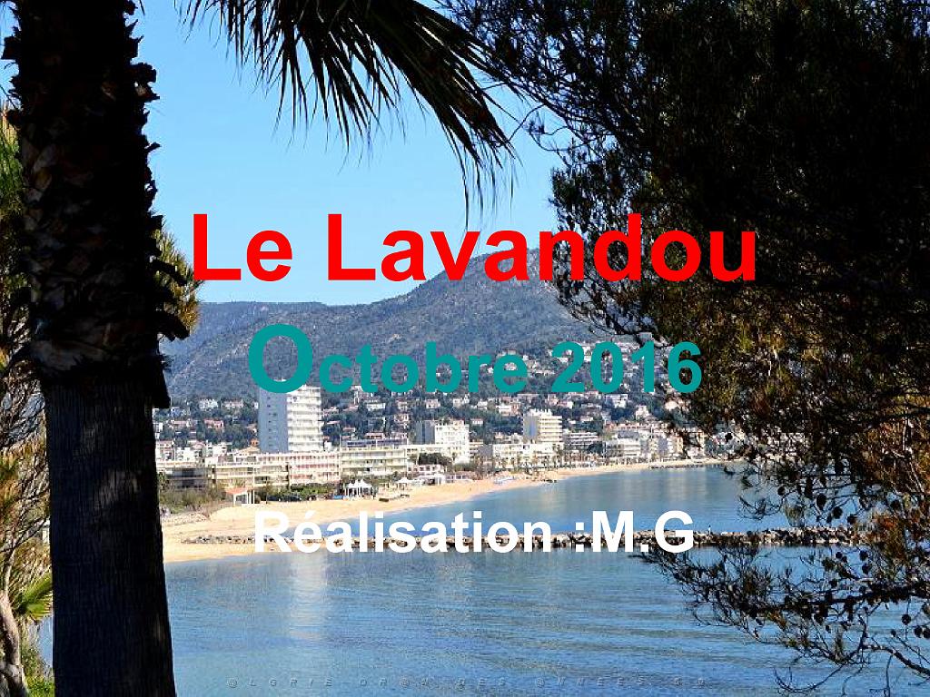 183 D36 LE LAVANDOU_000001.jpg